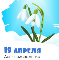 Международный День подснежника Международный День подснежника.