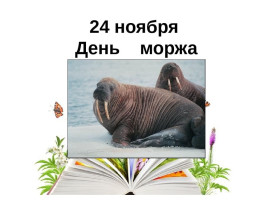 День моржа День моржа.