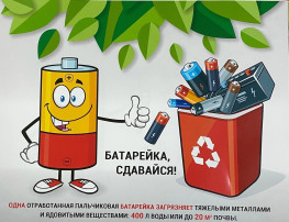 Сохраним зеленый город вместе! Сохраним зеленый город вместе!.
